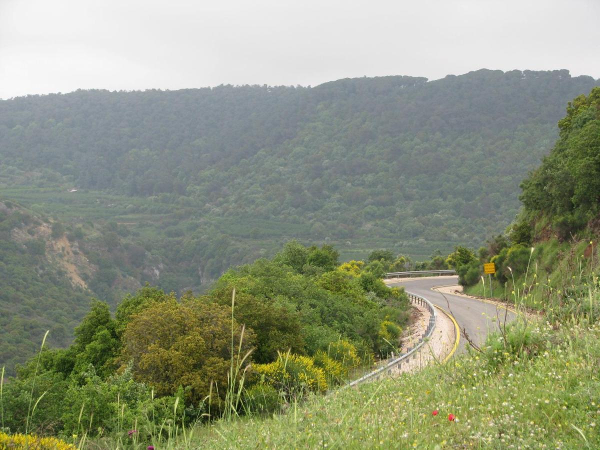 Tourism In The Village Ein Kinya Exterior foto